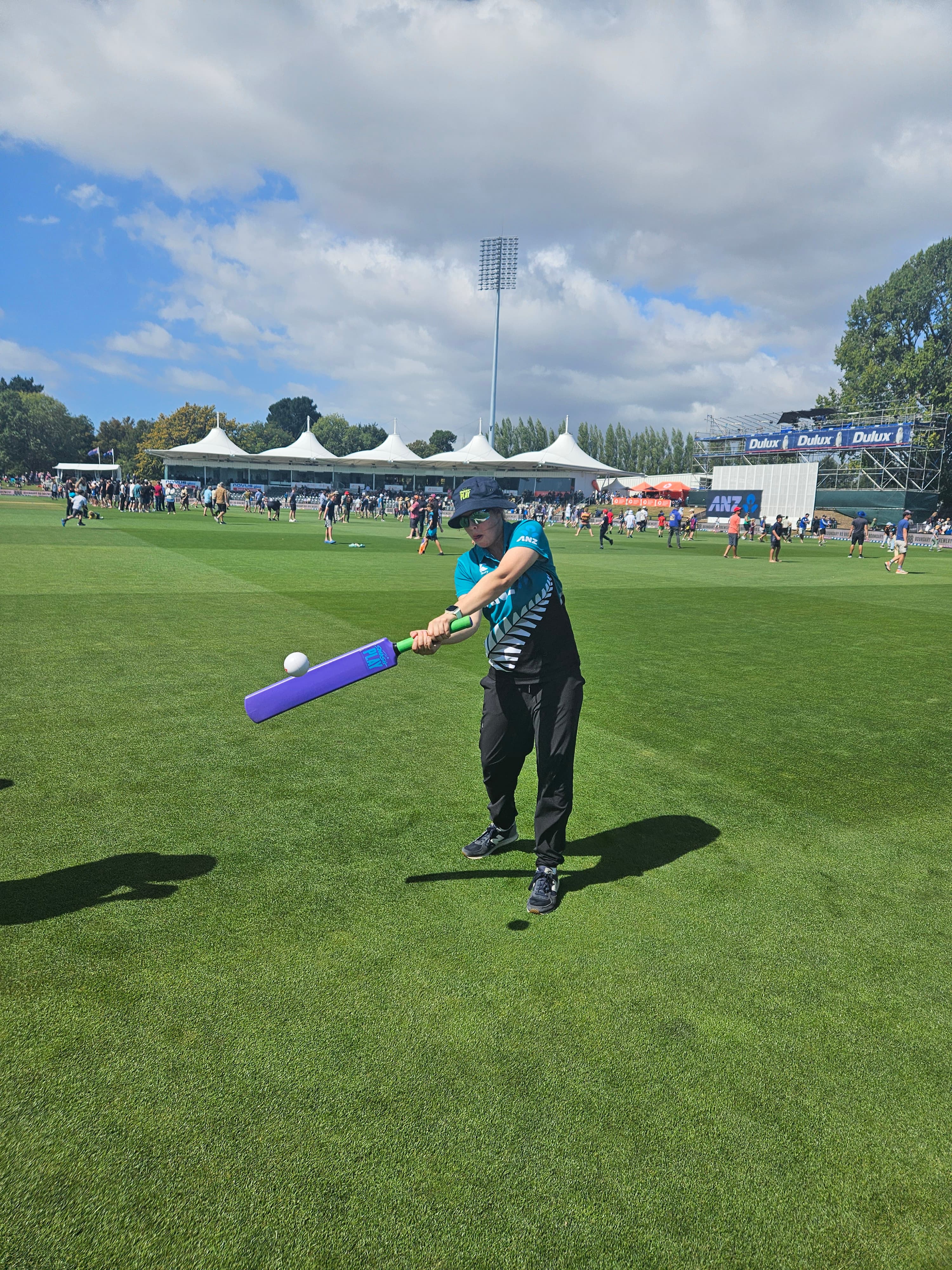 Cricket scene