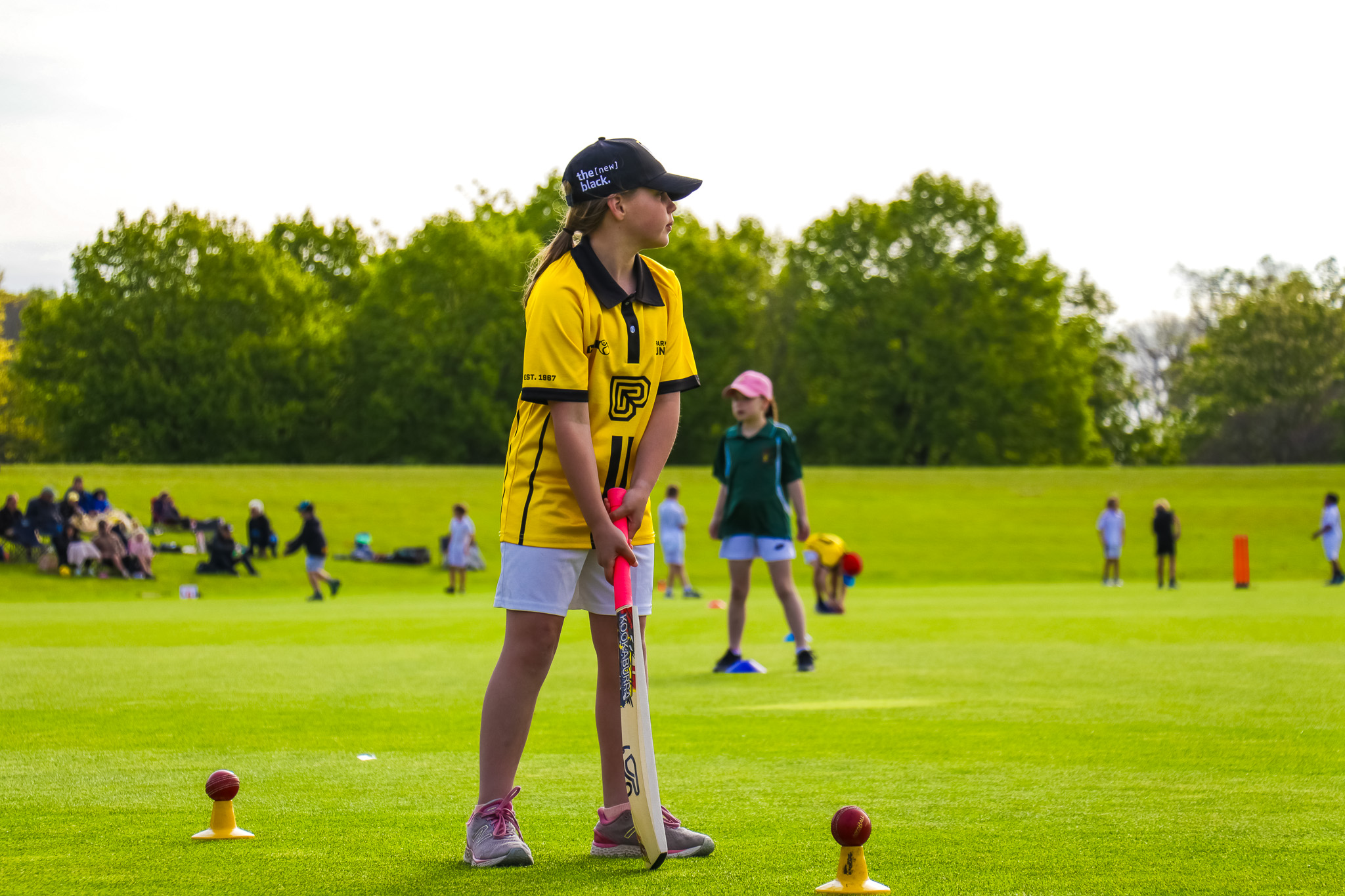 Cricket scene