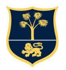 Club crest