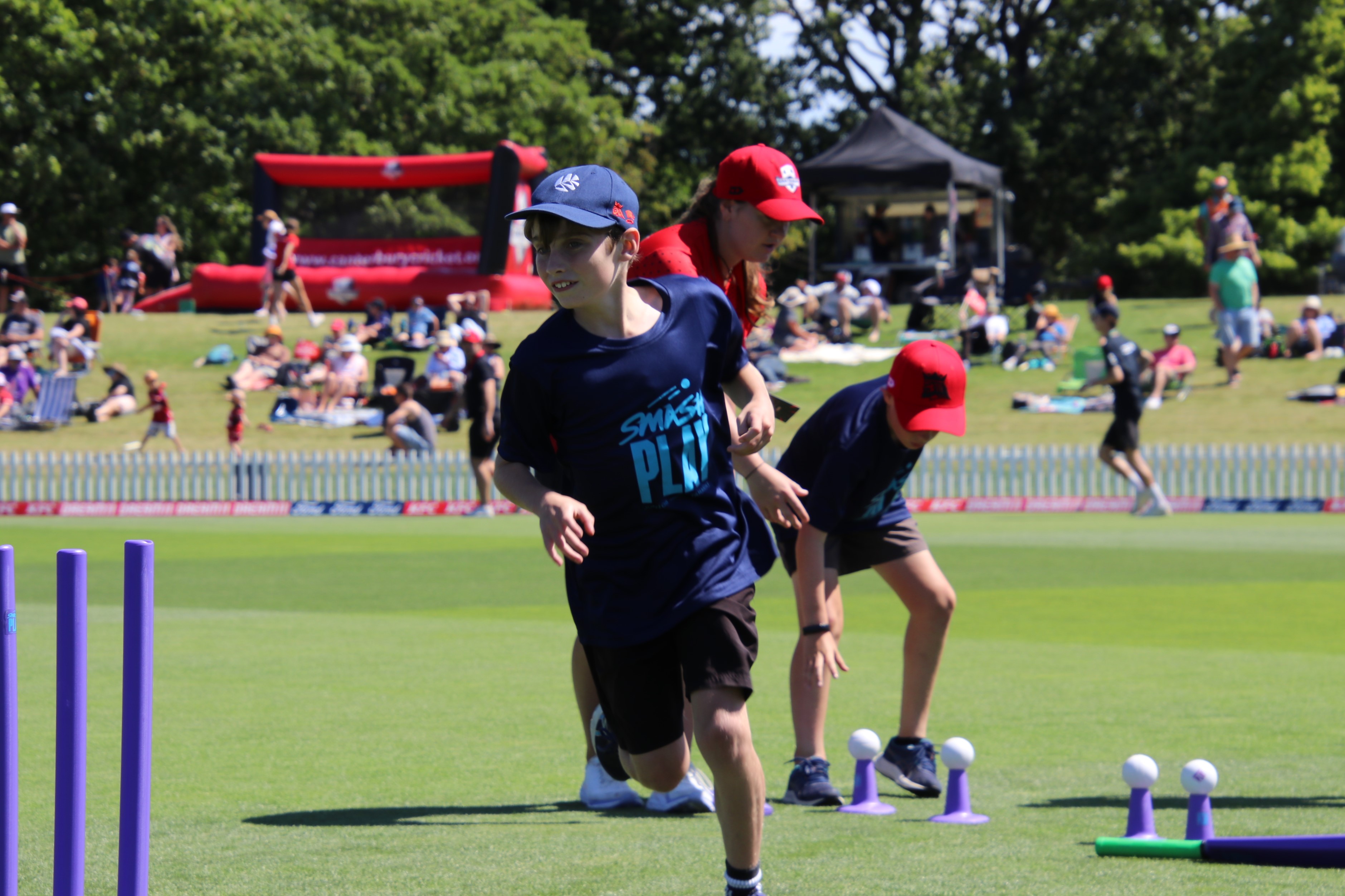 Cricket scene