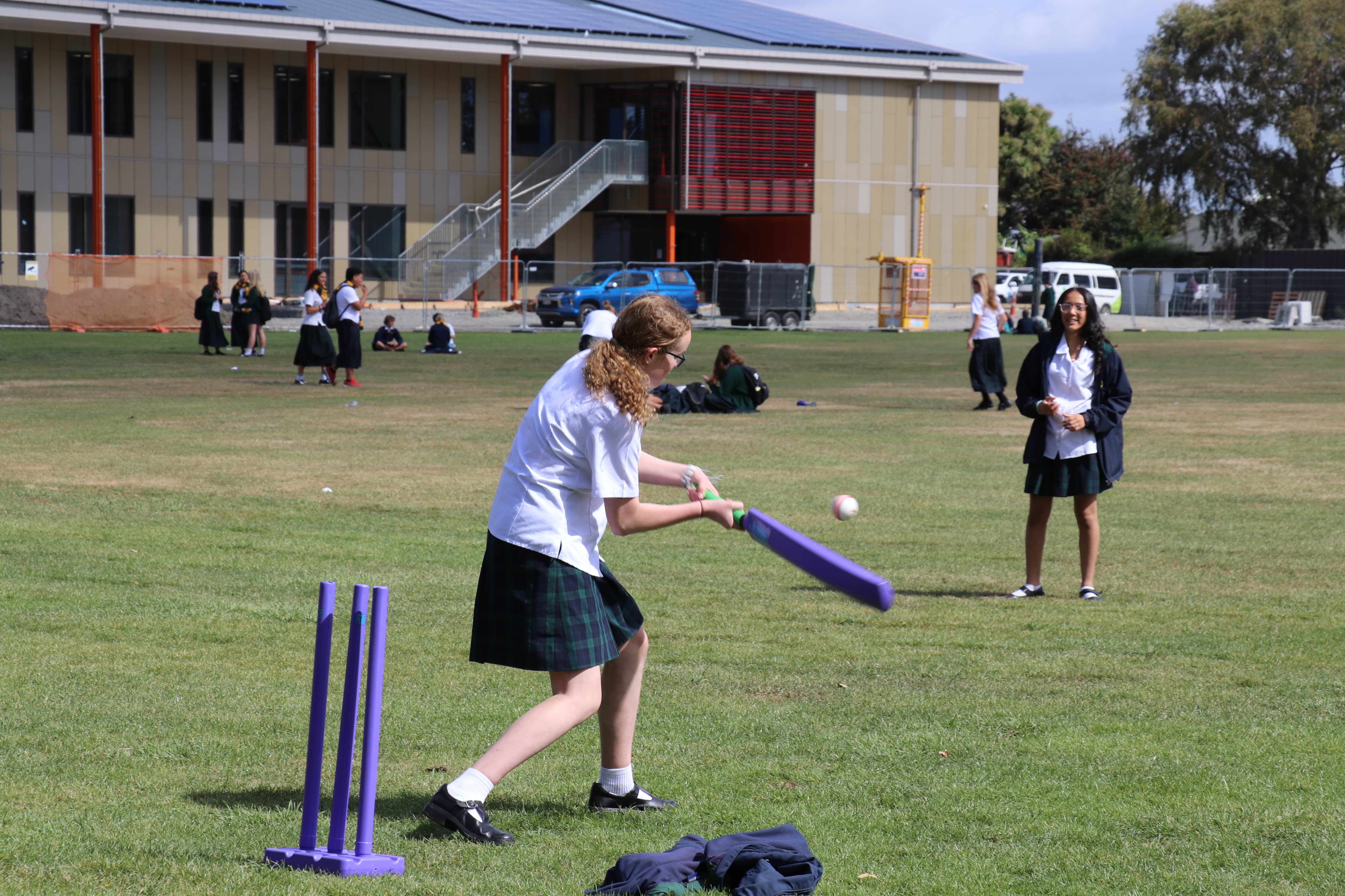 Cricket scene