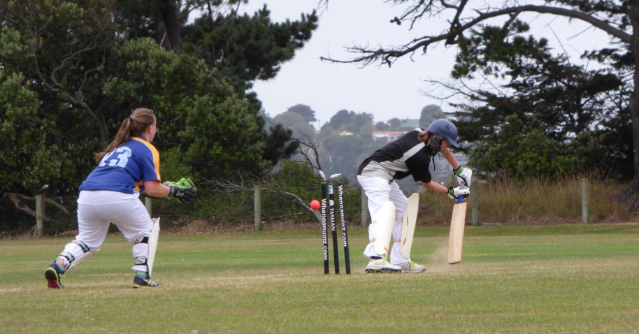 Cricket scene