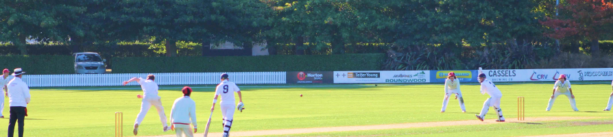 Cricket scene